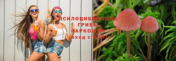 прущие грибы Алексеевка