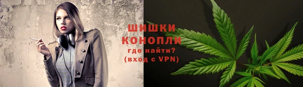 прущие грибы Алексеевка