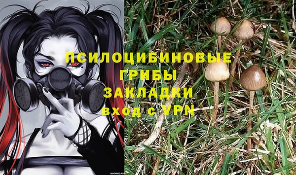 трава Алзамай